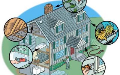 Radon, Mold, Sewer, and Mold Oh, My?