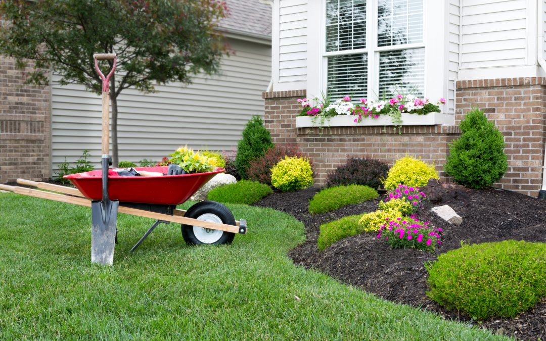 DIY Landscaping Projects to Increase Your Home’s Value