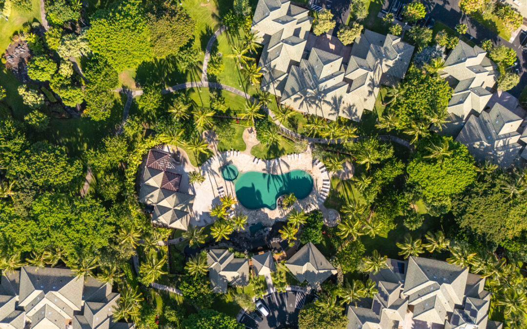 Market Update December 2025