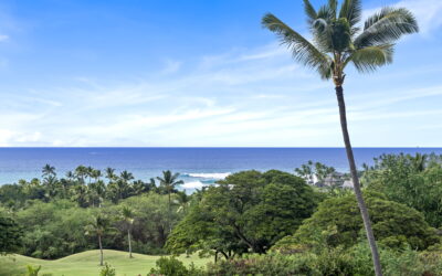 Big Island Resort Area November Real Estate Stats