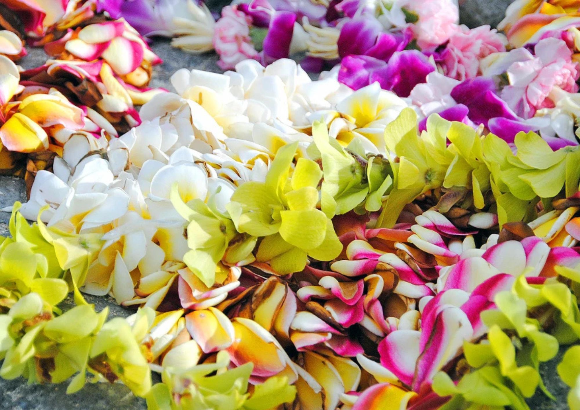 April Featured: Celebrate Lei Day + Local Eats at Big Island Grill