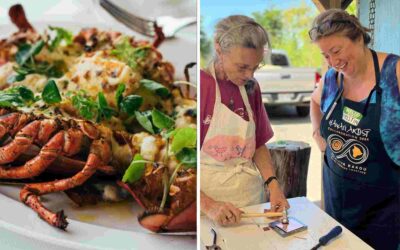 July 2026 Restaurant & Activity