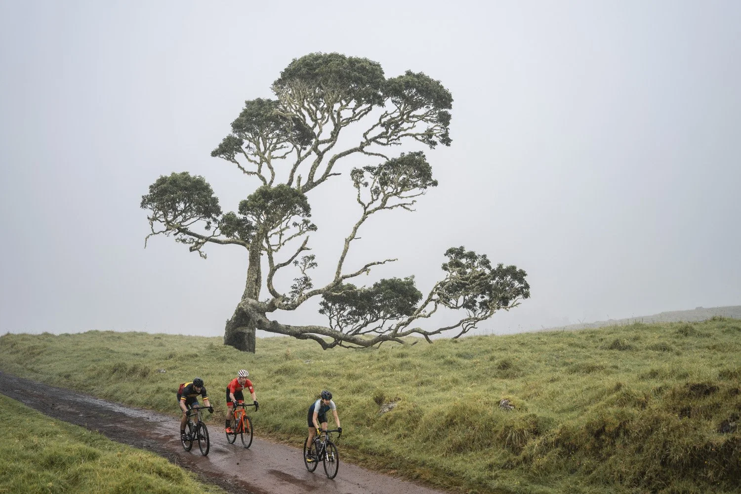 gravel-bike-touring-hawaii